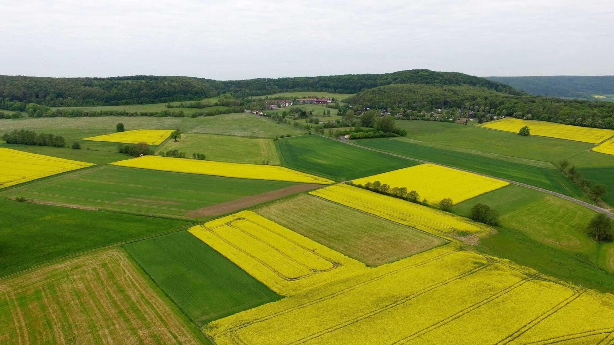 Hessen Hotelpark Hohenroda Hohenroda  Exteriér fotografie